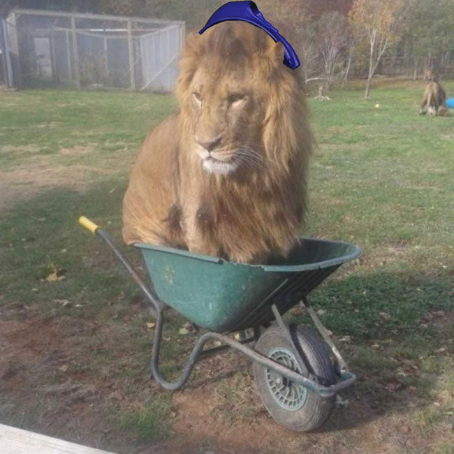 Hydro Mouthguard - Marketing 101