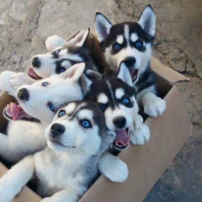 Workshop Diary #566  ...2018 is real!!!