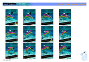 UwhTrainer 2 - Skills - PDF download Resources - Hydro Underwater Hockey
