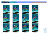UwhTrainer 2 - Skills - PDF download Resources - Hydro Underwater Hockey